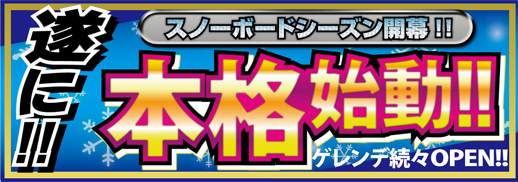 遂に ! ! 本格始動 ! !