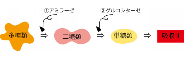 Fat Pass(ファットパス)の仕組み