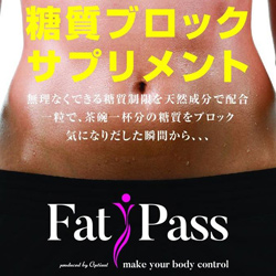 Fat Pass(ファットパス)のご購入はコチラ