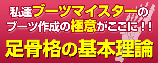 足骨格の基本理論