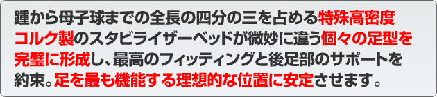 踵から母子球までの・・・・・